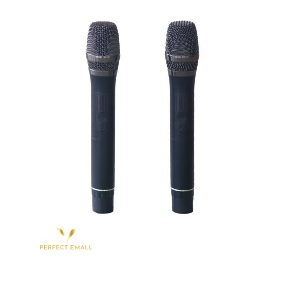 Professional Wireless Microphone